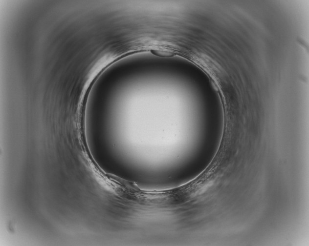 X0000098041152200803281426