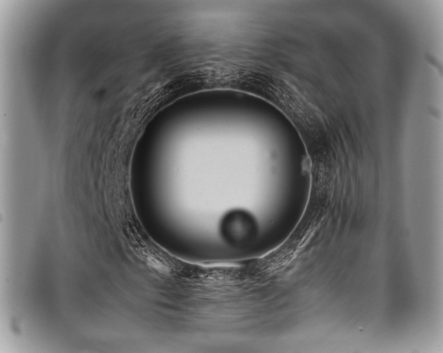 X0000098041153200803281425