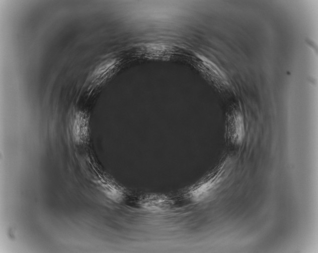 X0000098041154200803281425