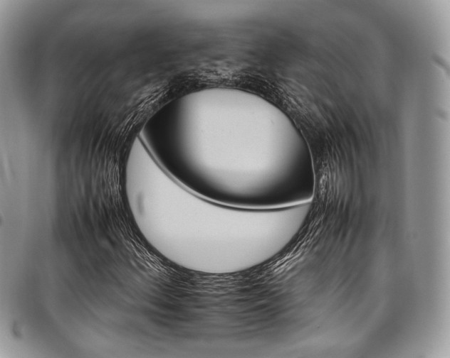 X0000098041156200803281425