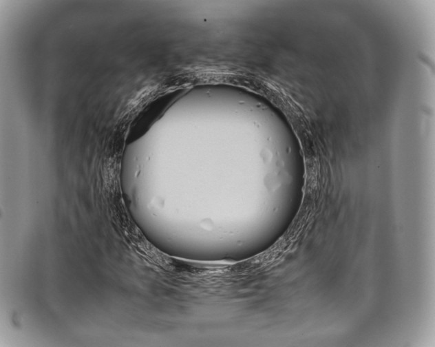 X0000098041157200803281425