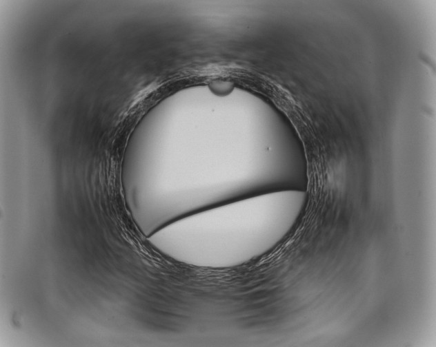 X0000098041158200803281425
