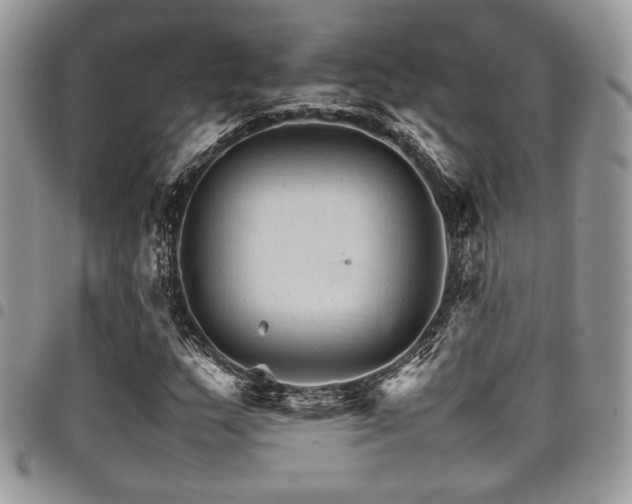 X0000098041159200803281425