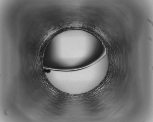 X0000098041160200803281425
