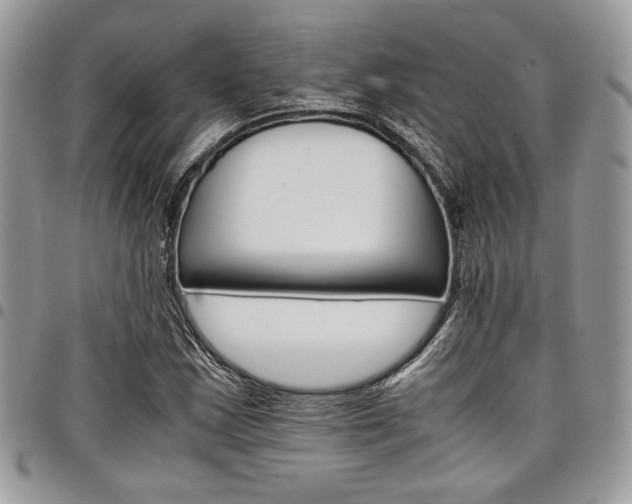 X0000098041163200803281425