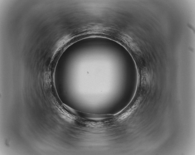 X0000098041164200803281425