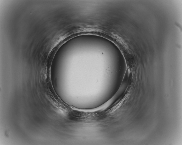 X0000098041165200803281425
