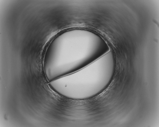 X0000098041168200803281425