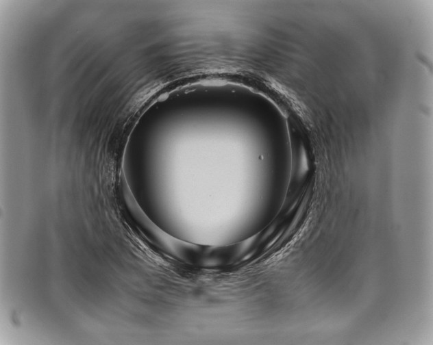 X0000098041169200803281425