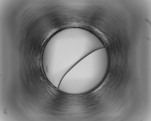 X0000098041170200803281425