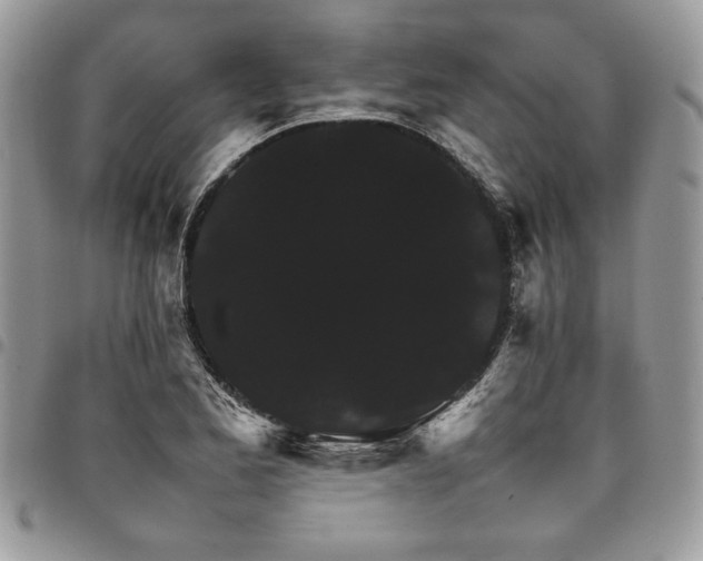 X0000098041173200803281425