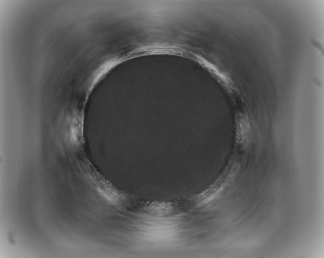 X0000098041174200803281425