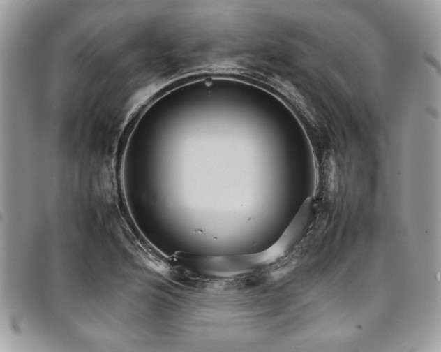 X0000098041176200803281425