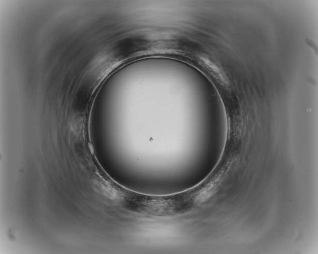 X0000098041177200803281425