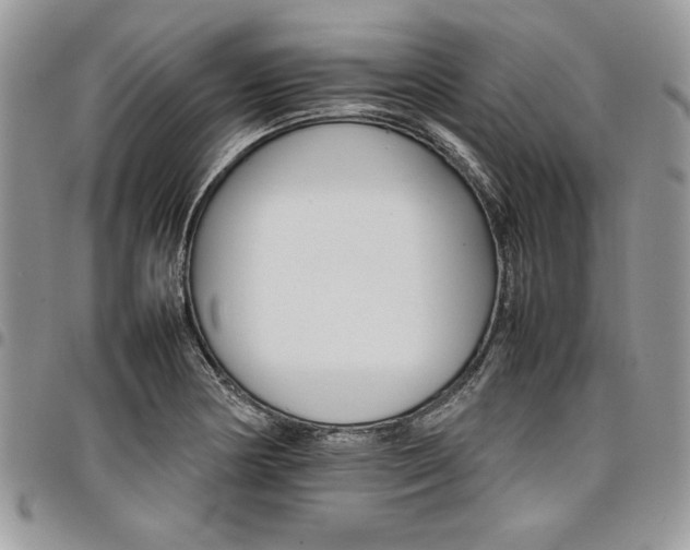 X0000098041178200803281425