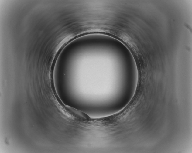 X0000098041181200803281425