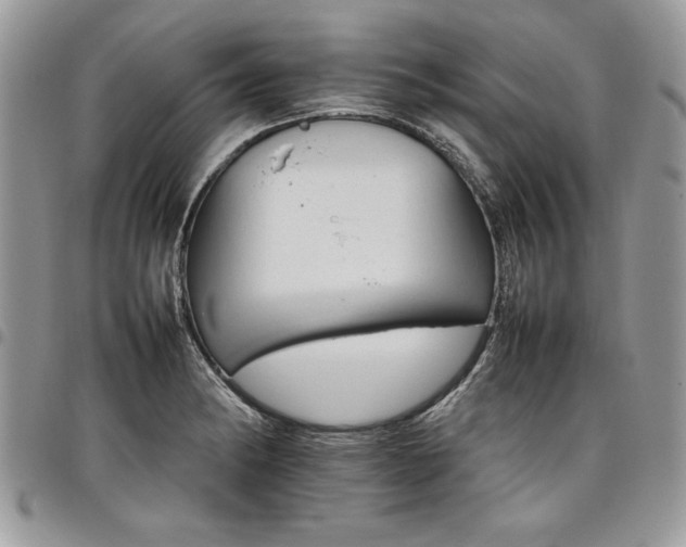 X0000098041182200803281425