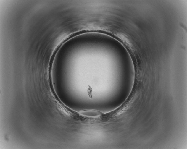 X0000098041183200803281425