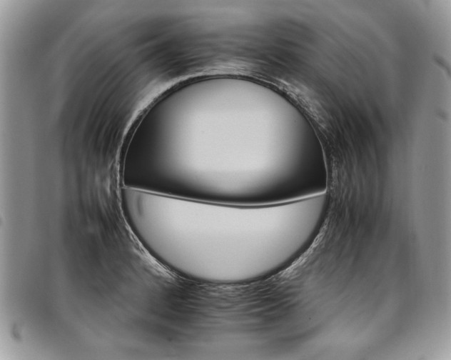 X0000098041184200803281425