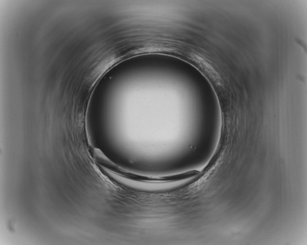 X0000098041185200803281425