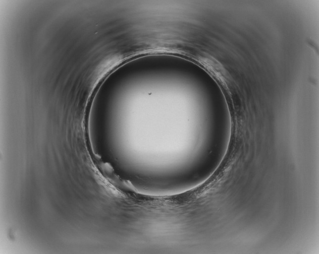 X0000098041189200803281425