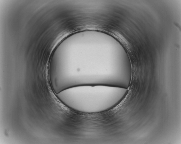 X0000098041190200803281425