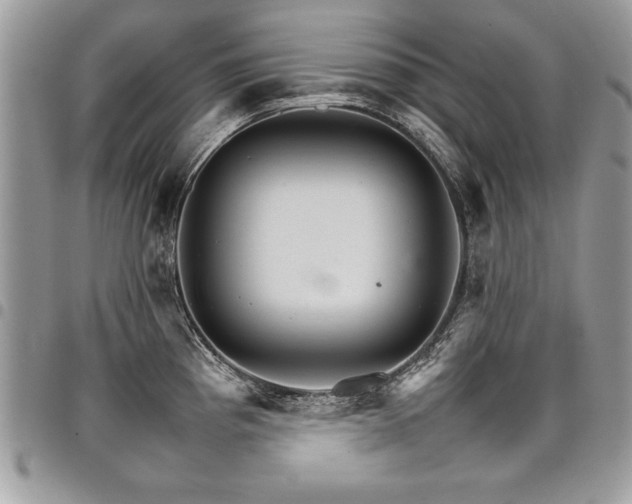 X0000098041193200803281425