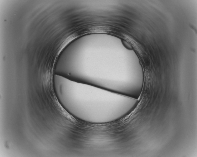 X0000098041194200803281425