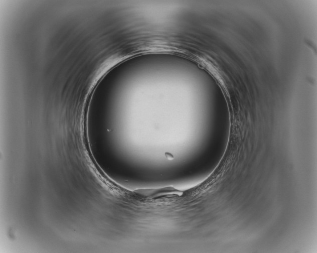 X0000098041195200803281425