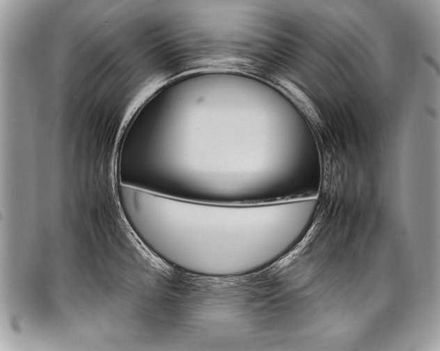 X0000098041196200803281425