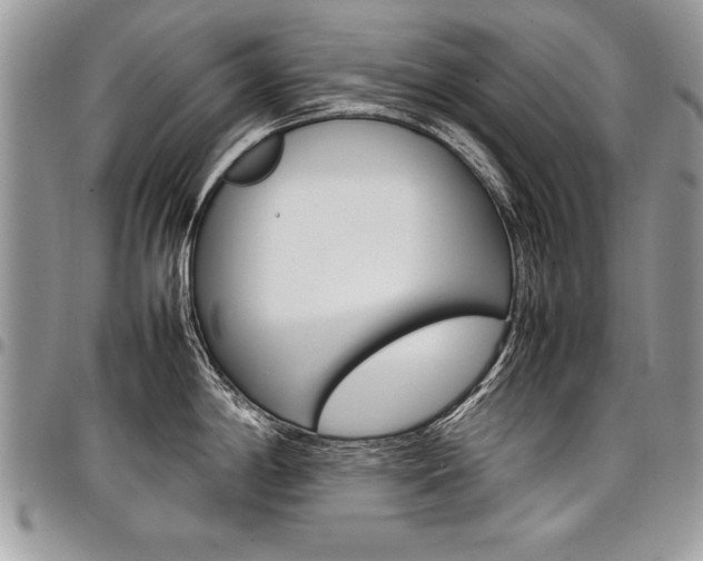 X0000098041198200803281424