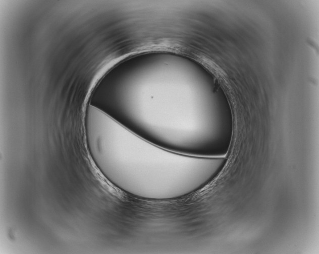 X0000098041200200803281424