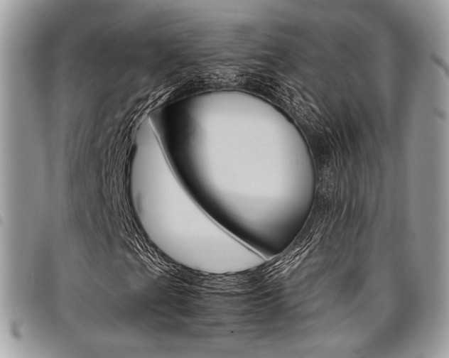 X0000098041201200803281424