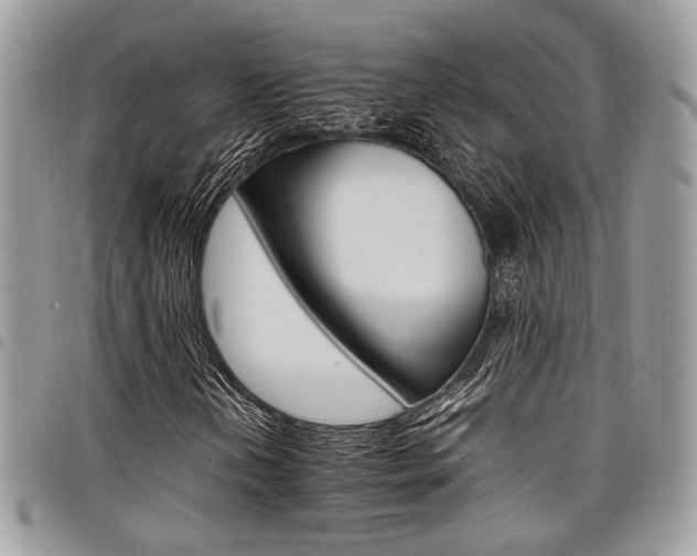 X0000098041202200803281424