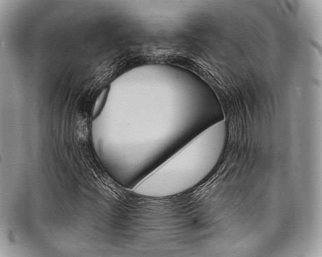 X0000098041204200803281424