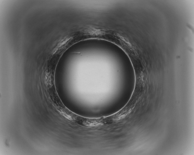 X0000098041205200803281424