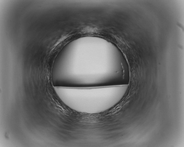 X0000098041206200803281424