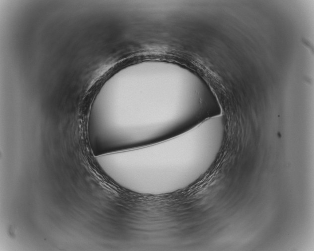 X0000098041208200803281424
