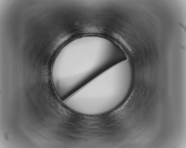 X0000098041213200803281424