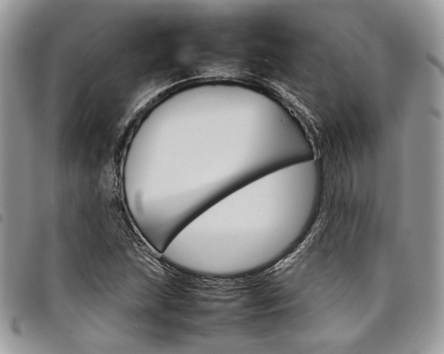 X0000098041215200803281424