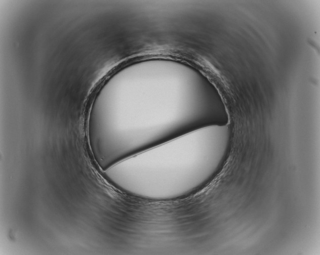 X0000098041216200803281424