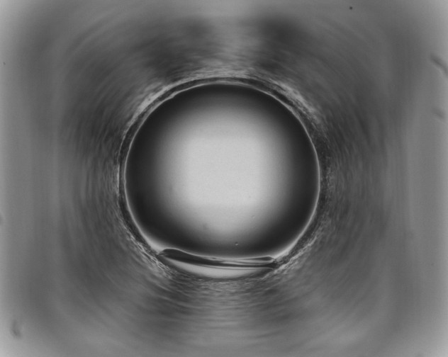 X0000098041220200803281424