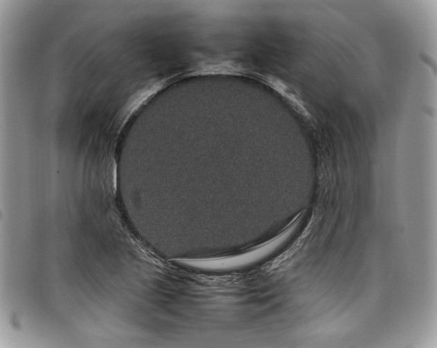 X0000098041221200803281424