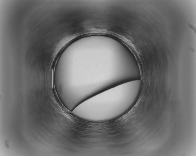 X0000098041223200803281424