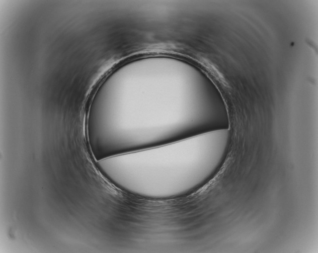 X0000098041224200803281424