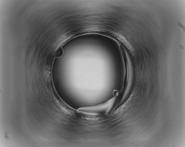 X0000098041225200803281424