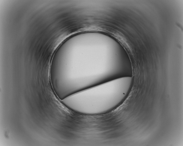X0000098041228200803281424