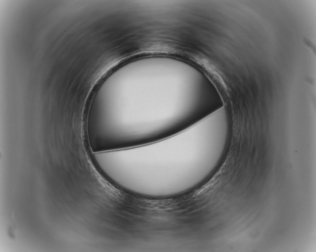 X0000098041229200803281424