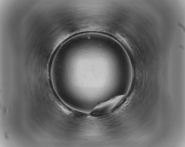X0000098041230200803281424