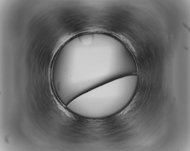 X0000098041231200803281424